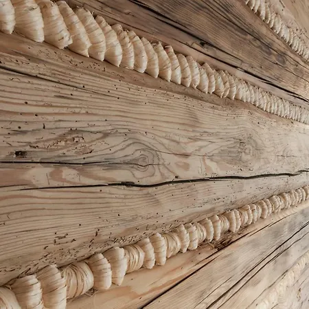 Gniewnik * Закопане