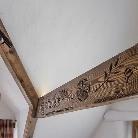 Gniewnik Dağ evi Zakopane